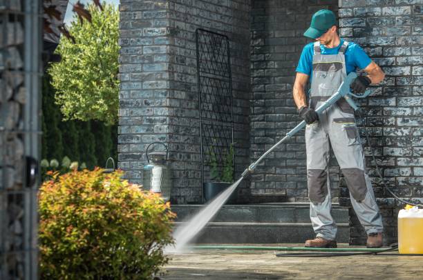 Best Driveway Pressure Washing  in Selbyville, DE